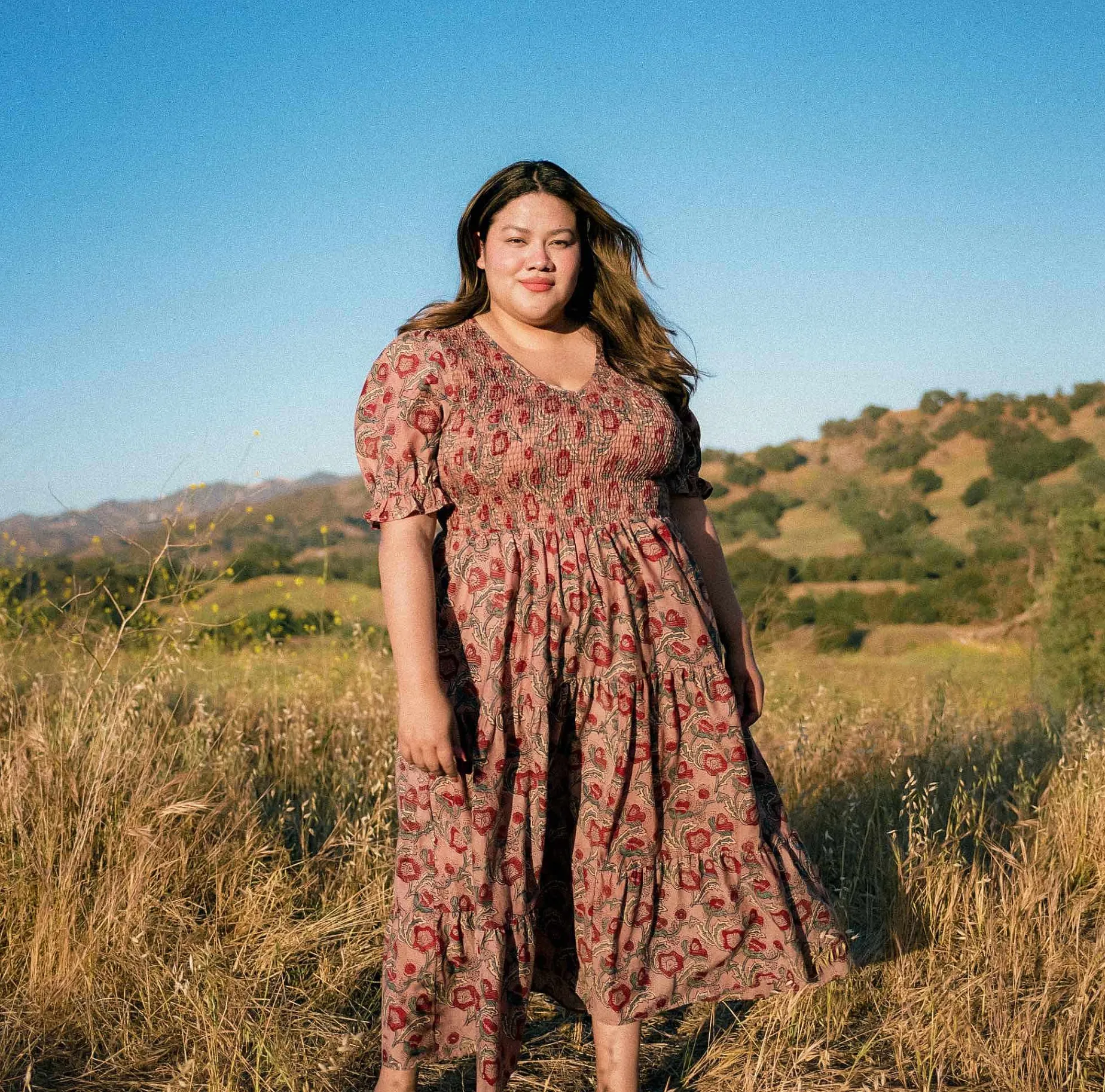 The Brooklyn Dress Extended