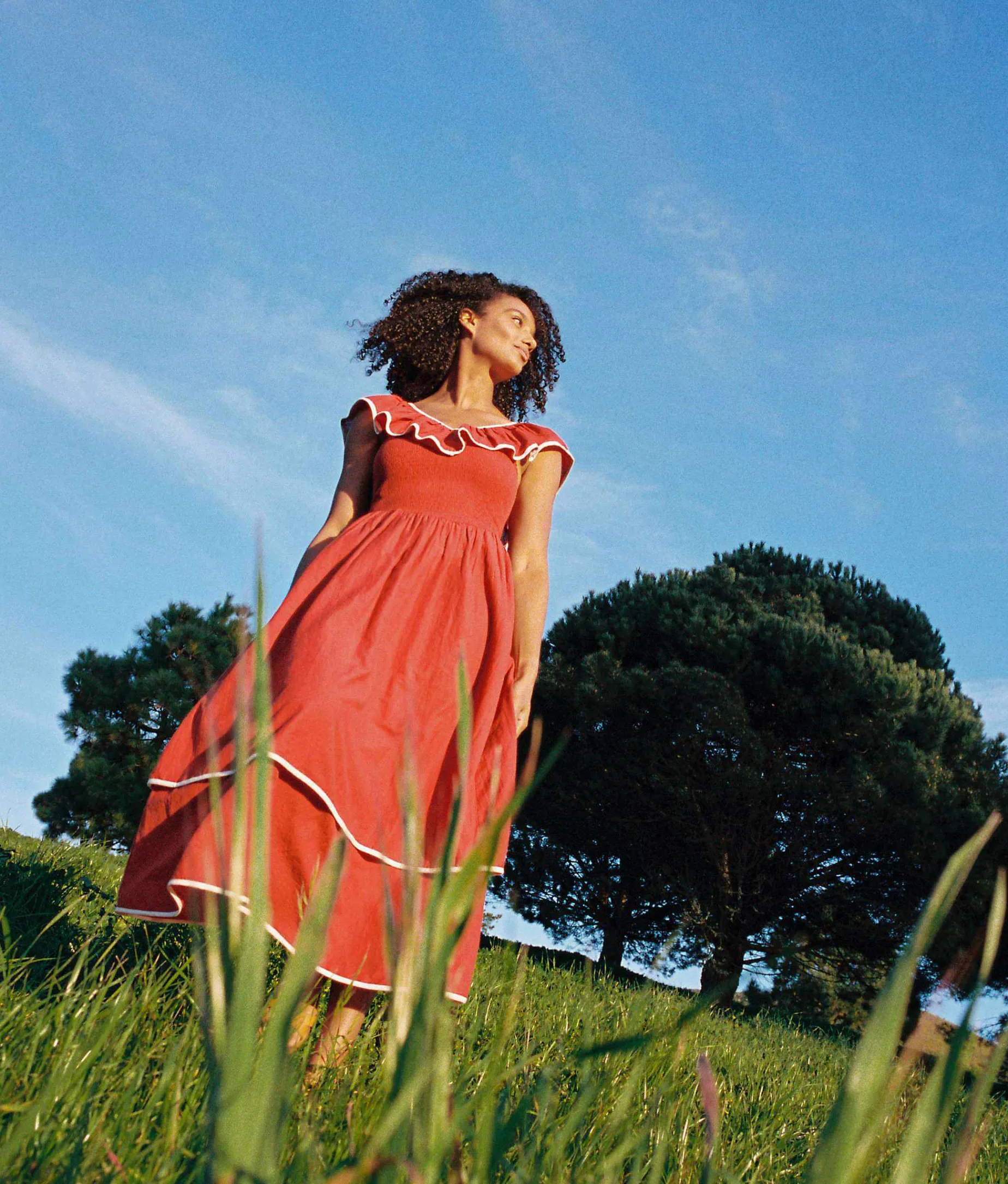 The Cierra Dress Petites