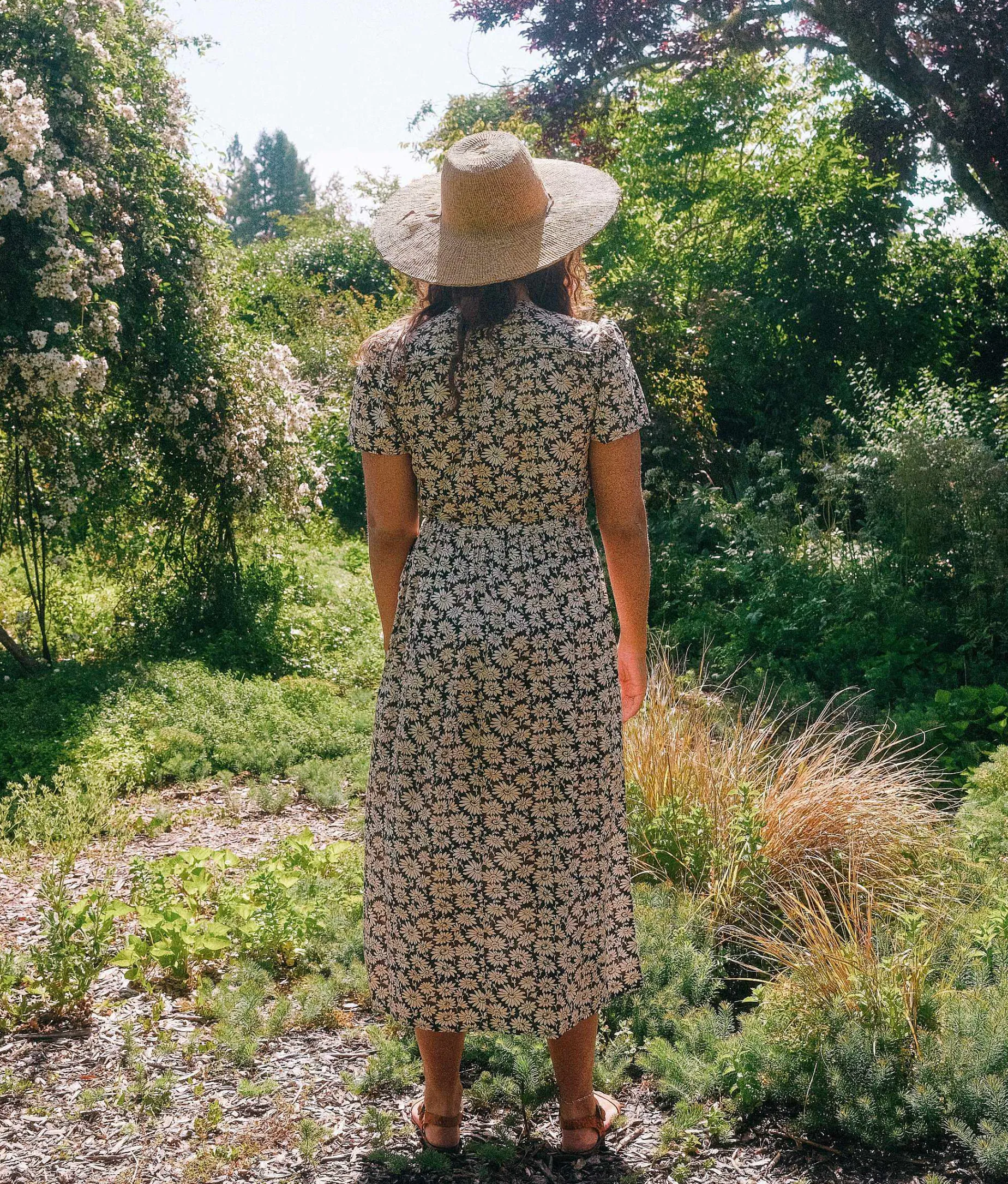 The Dawn Dress