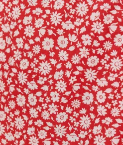 The Scarlet Dress Extended